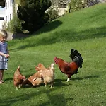 Edtmeier *