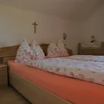 Edtmeier * زيل أم موس