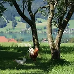Edtmeier Zell am Moos