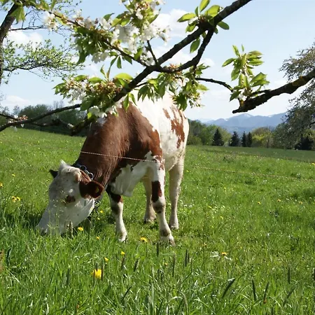 Bauernhof Edtmeier *