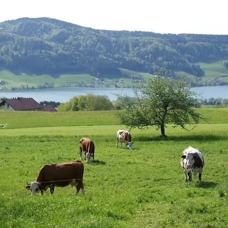 菲力霍夫埃德梅农家乐