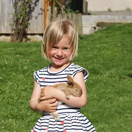 菲力霍夫埃德梅农家乐 农家乐 *