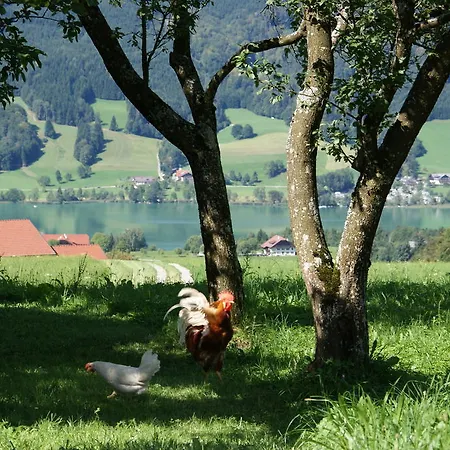 菲力霍夫埃德梅农家乐 沼泽附近策尔