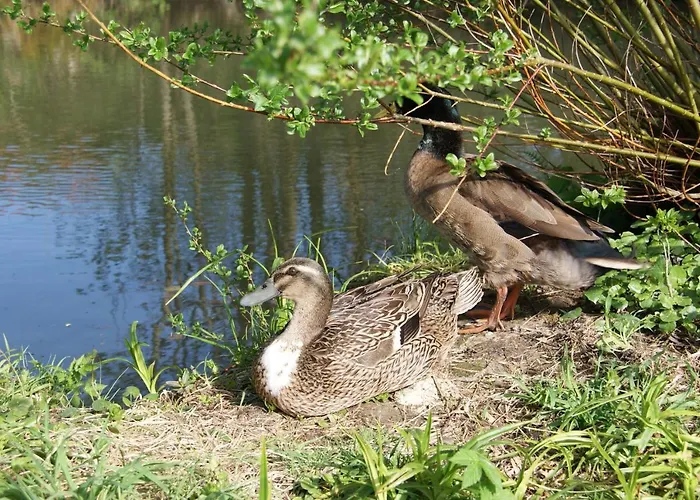 בית חווה Edtmeier *