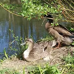 Farm stay Edtmeier *