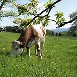Farm stay Edtmeier *