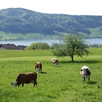 Edtmeier