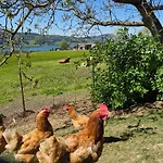 Çiftlik konaklama Edtmeier Zell am Moos