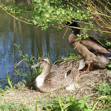 בית חווה Edtmeier *