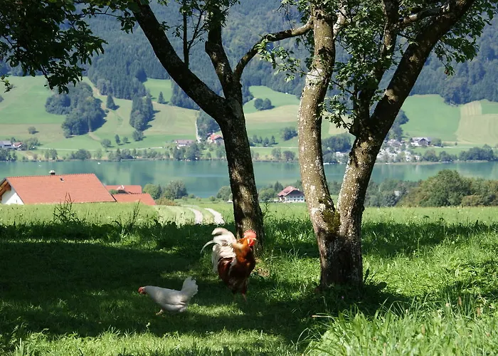 Edtmeier Zell am Moos